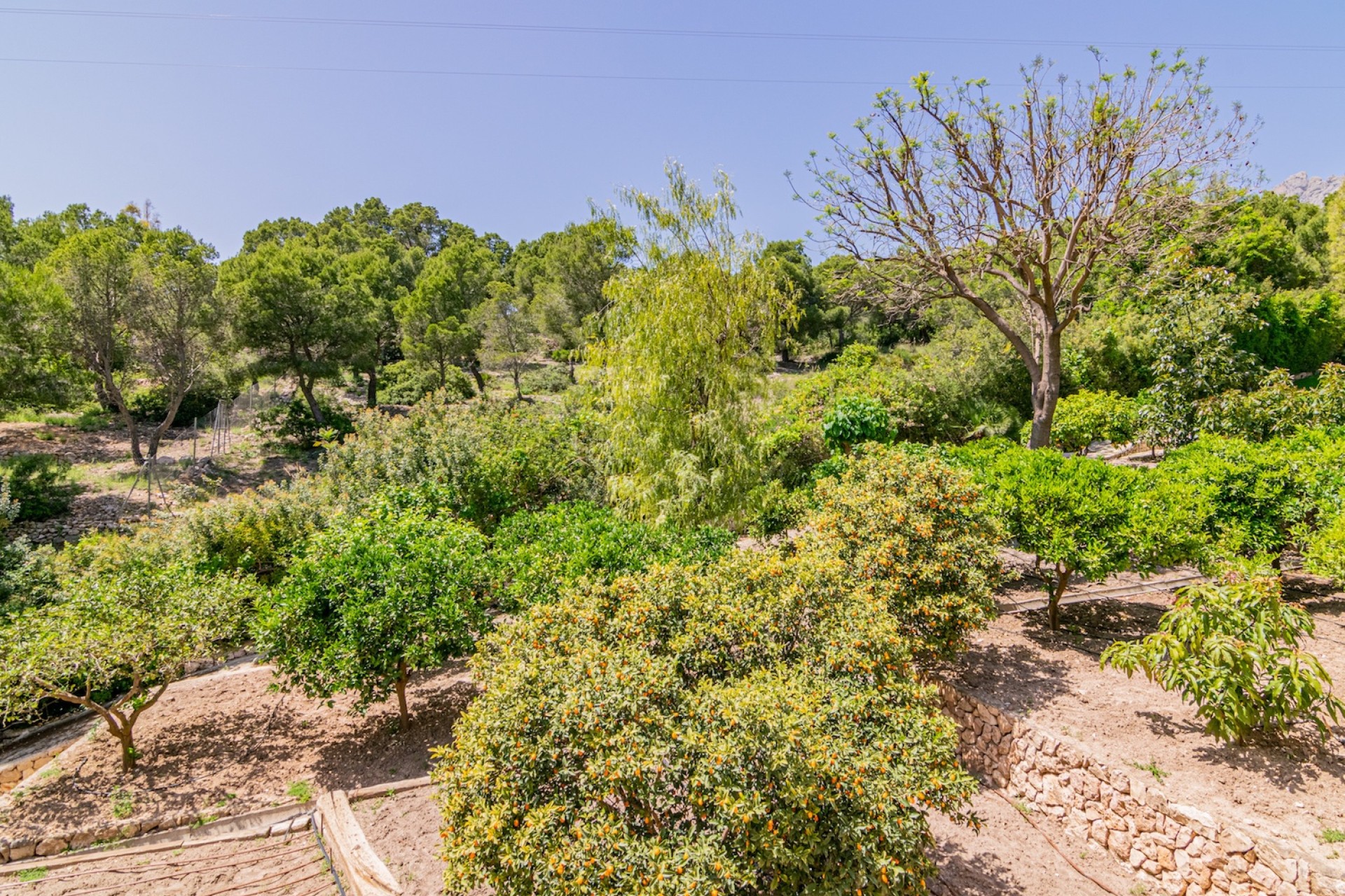 Endursala - Einbýli -
Albir, Alfaz & Altea - Altea