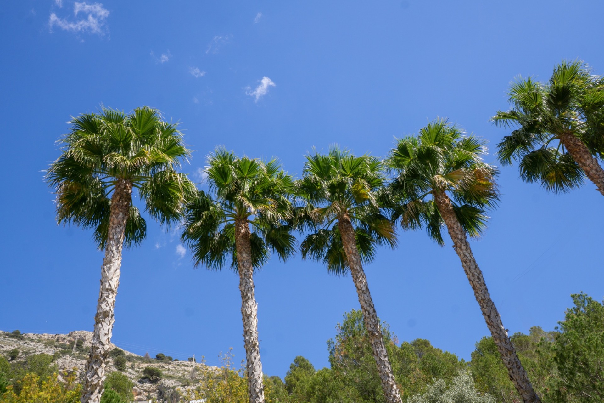 Endursala - Íbúð í fjölbýli -
Albir, Alfaz & Altea - Altea