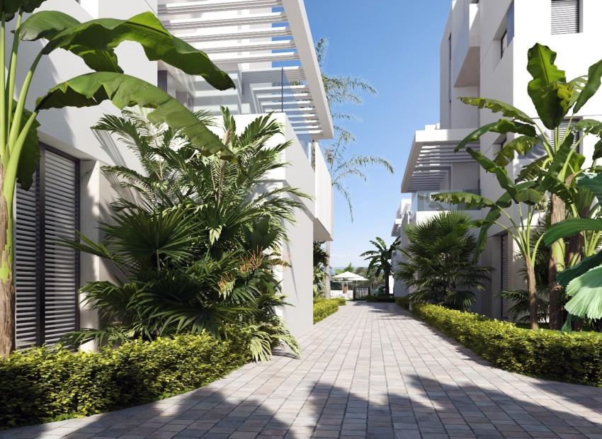 Neue Gebäude - Apartment -
Santa Rosalia