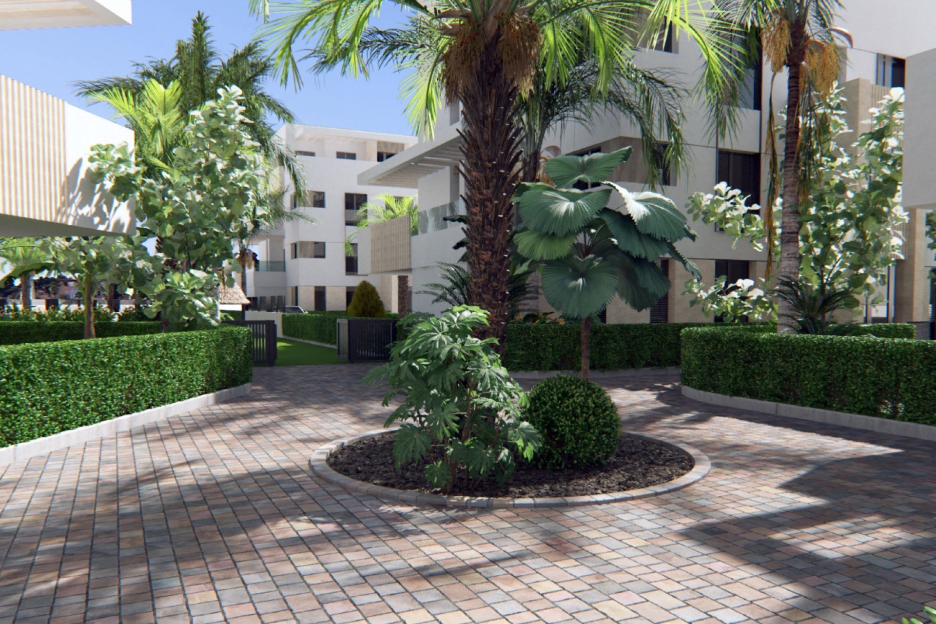 Neue Gebäude - Apartment -
Santa Rosalia