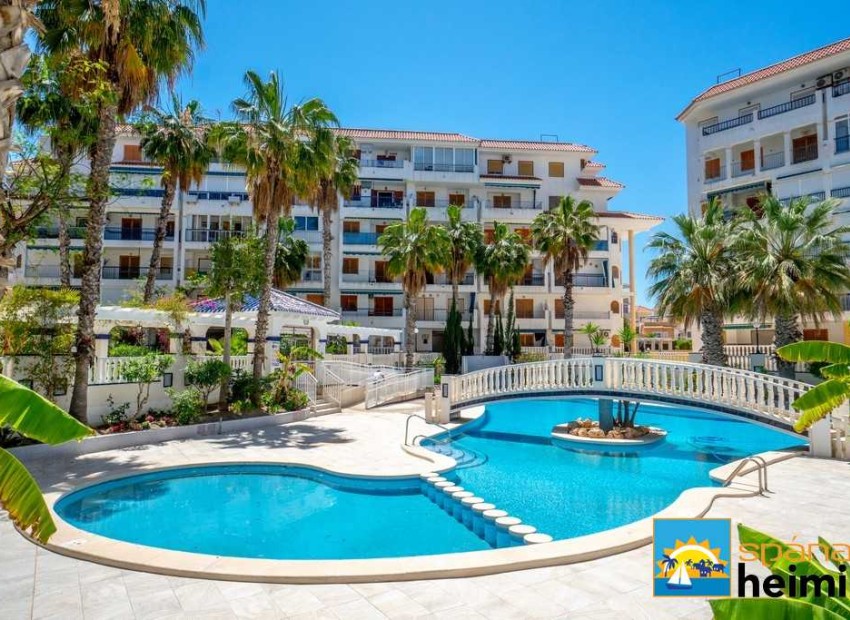 Odsprzedaż - Mieszkanie -
Torrevieja