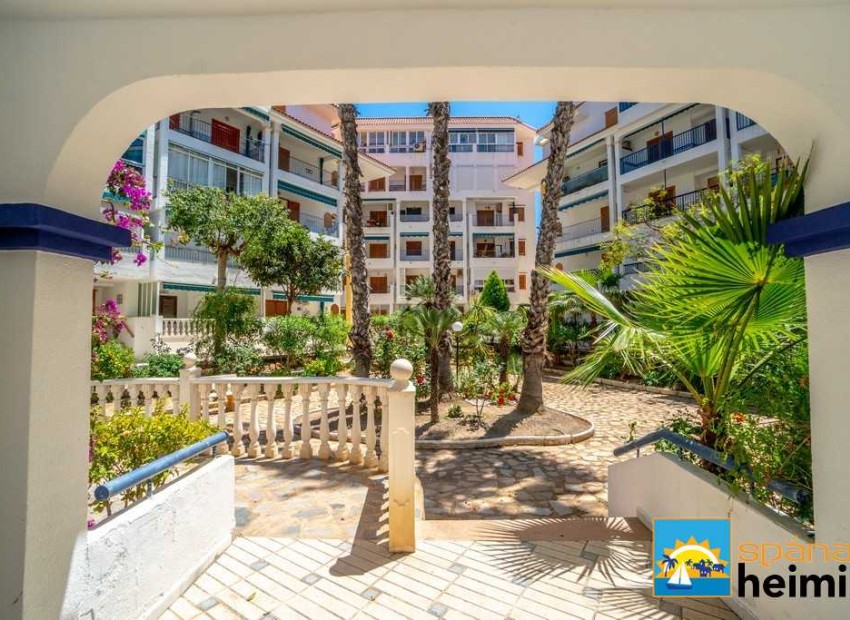 Odsprzedaż - Mieszkanie -
Torrevieja