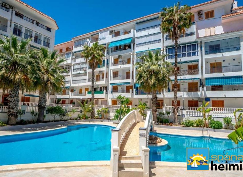 Odsprzedaż - Mieszkanie -
Torrevieja