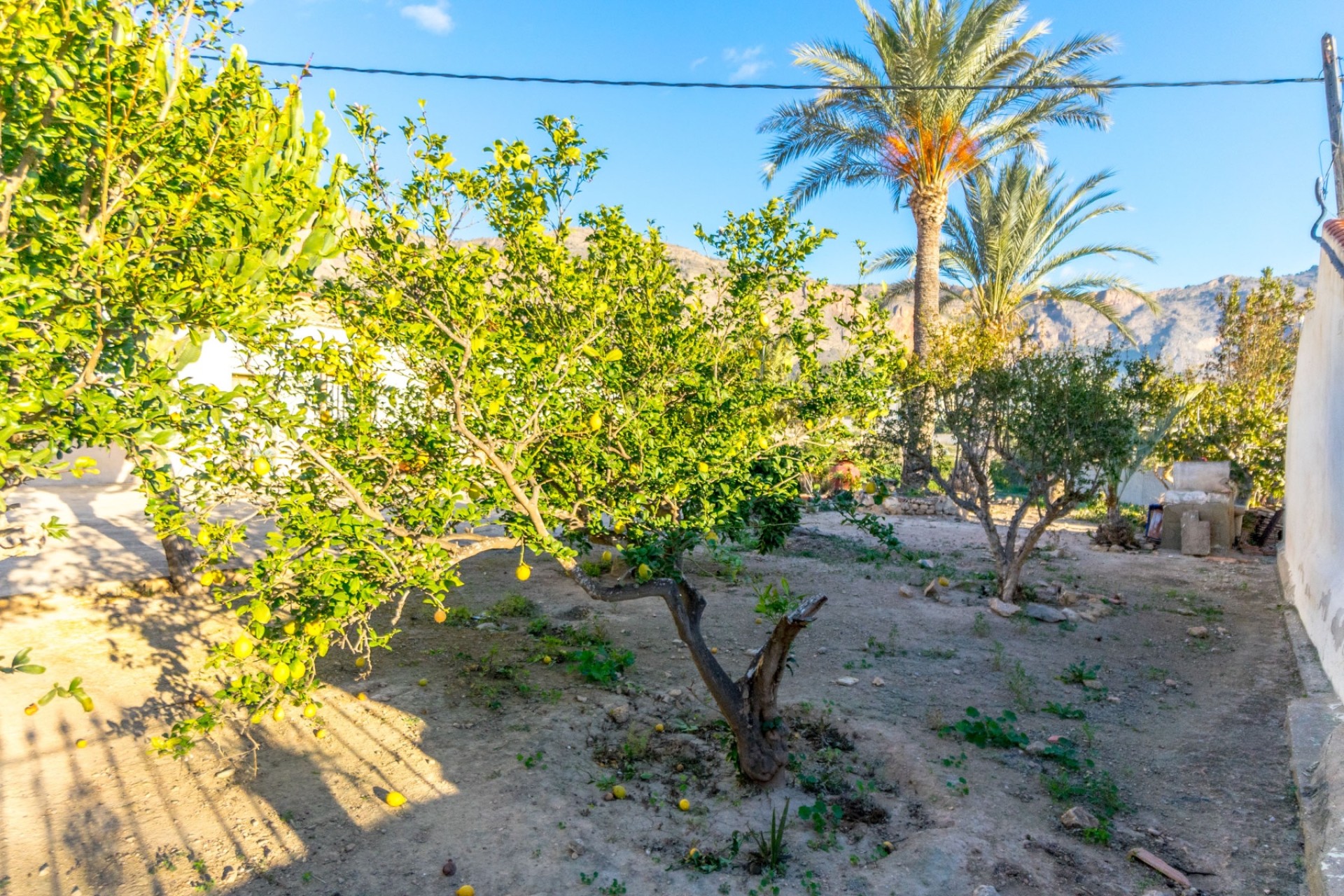 Revente - Maison de style finca -
Orihuela - Orihuelaborg og nærsvæði