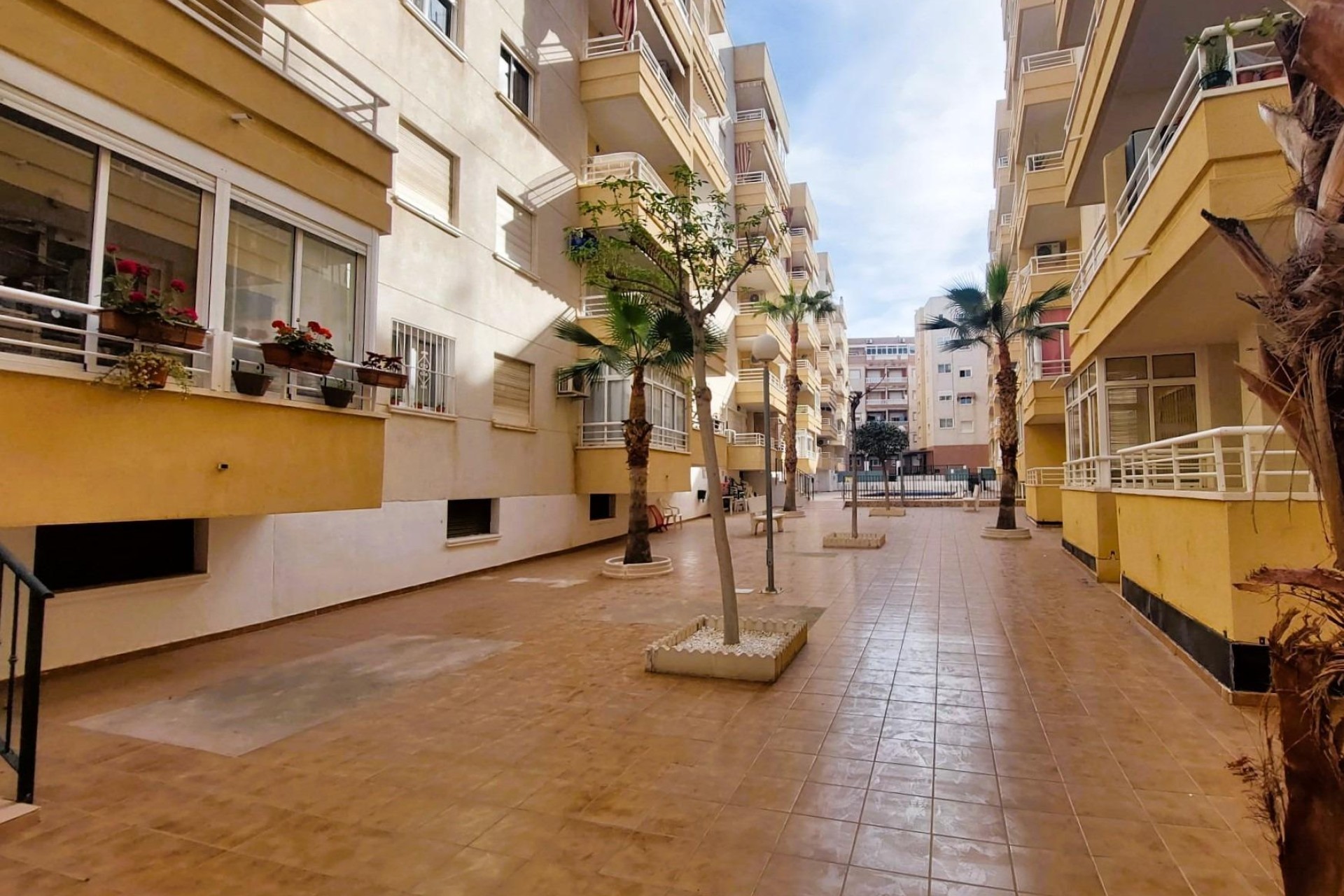 Videresalg - Leilighet / leilighet -
Torrevieja - Centro