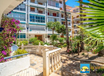 Odsprzedaż - Mieszkanie -
Torrevieja