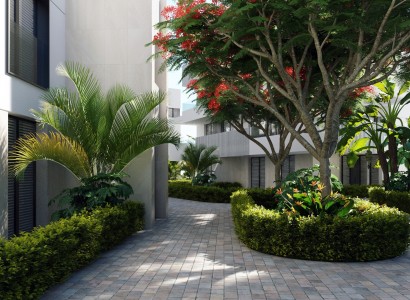 Neue Gebäude - Apartment -
Santa Rosalia
